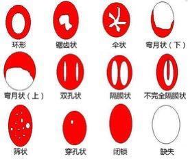 隐私之选 女性对卫生棉条的使用态度探析